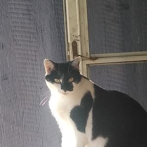 Meet your Posher, Robert